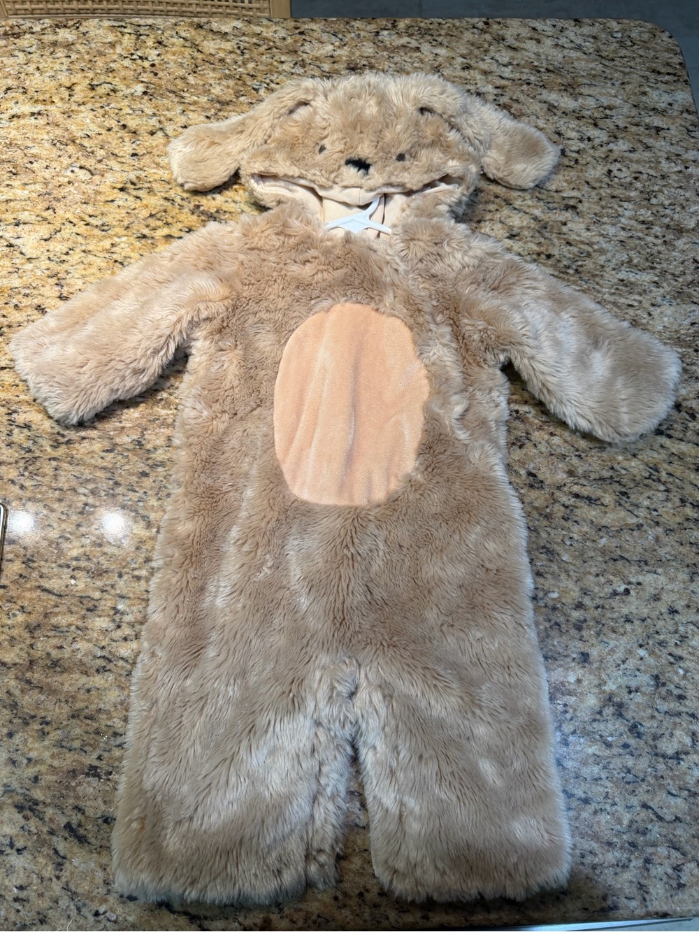 Pottery Barn Kids Beige Dog Costume 6-12 Months